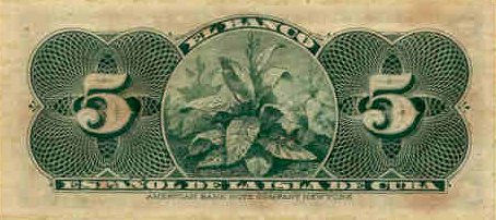 �������� ������� �������� ���� ��������� 5 ����