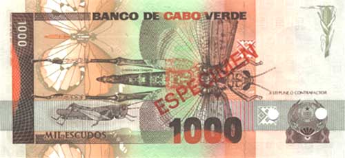 �������� ������� �������� ����-����� ��������� 1000 ������