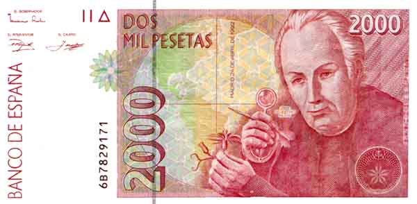 ������� ������� �������� ������� ��������� 2000 �����