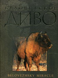 ����������� ����. ���������� (�� ������� � ���������� ������)