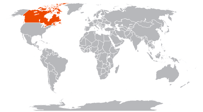 ������ �� ����� ����