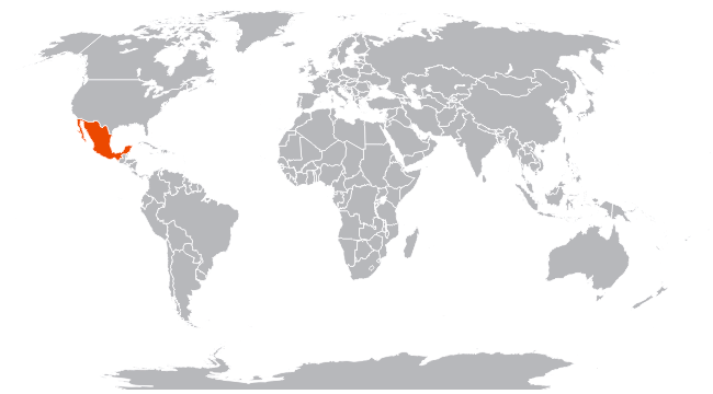 ������� �� ����� ����