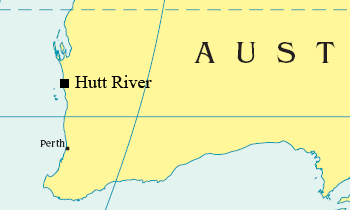 ����� ��������� ���� �����