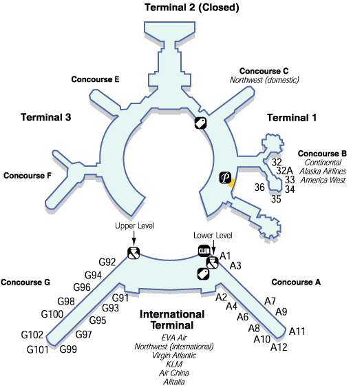 ����� ��������� ���-���������