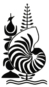 ���� ����� ���������